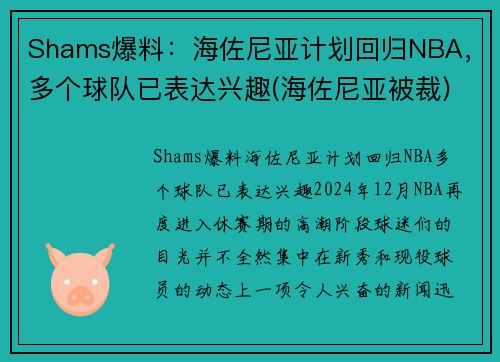 Shams爆料：海佐尼亚计划回归NBA，多个球队已表达兴趣(海佐尼亚被裁)